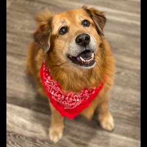 Posher (by proxy) RVCA: